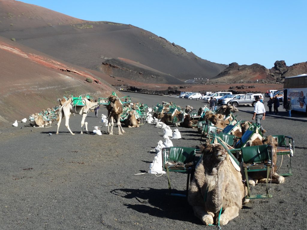 Puerta al P.N. Timanfaya, Lanzarote
